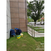 宜宾市灭鼠 