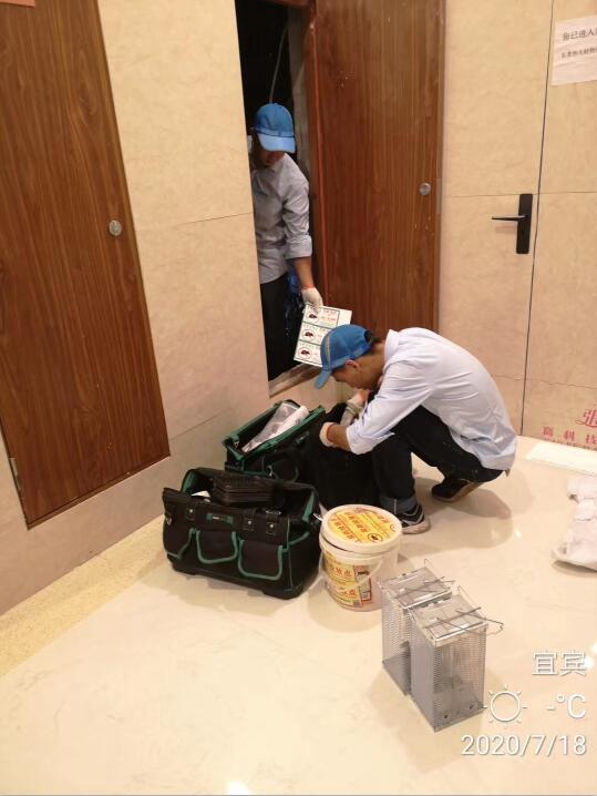 宜宾酒店灭鼠 