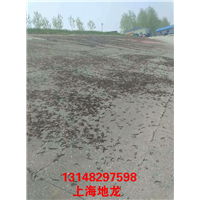 低价出售河南地龙