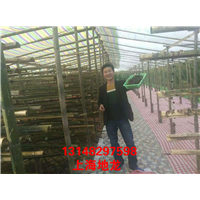 低价出售河南地龙