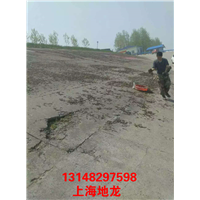 低价出售河南地龙