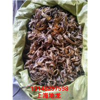 低价出售河南地龙