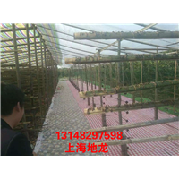 低价出售河南地龙