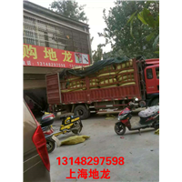 低价出售河南地龙