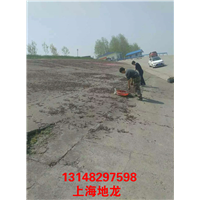 低价出售河南地龙