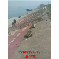 低价出售河南地龙