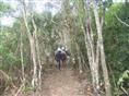 马帮运输丨高山运输丨陡峭山区运输 
