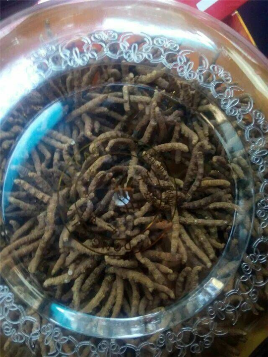 昆山回收烟酒！昆山礼品回收