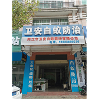 阳江白蚁防治