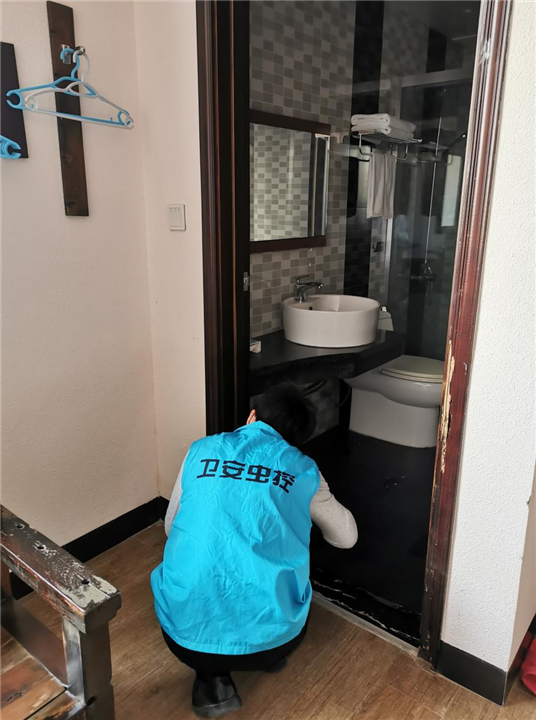 阳江白蚁防治