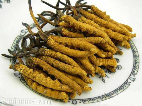 宁波飞天茅台回收 