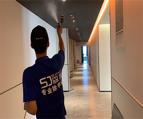 邵阳除甲醛公司