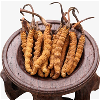 重庆回收冬虫夏草