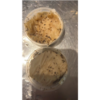 海口消毒公司