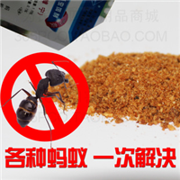 海口灭蚂蚁公司 