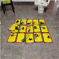 海口消毒价格