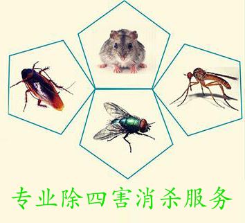 海口灭四害 