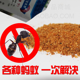 海口灭蚂蚁公司 