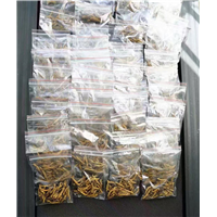 头屯河区回收虫草 
