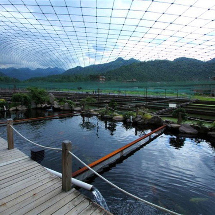 北京锦鲤养殖场锦鲤批发市场 