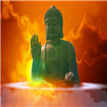 鱼苗放生放养 
