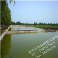黑龙江锦鲤市场 