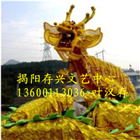 广东庆典表演，广东舞龙舞狮培训 