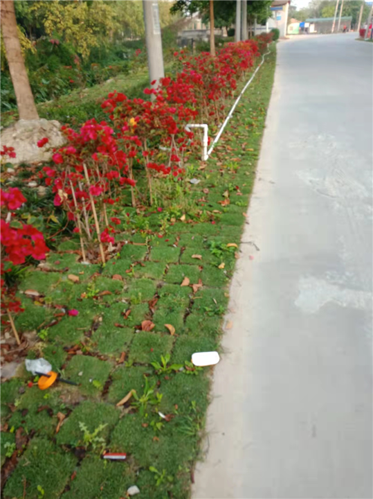 广场绿地