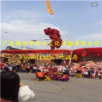 惠来舞龙队,惠来布马队，揭东区秧歌舞 