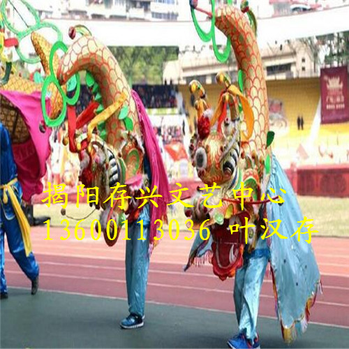 揭阳舞龙舞狮培训，揭阳布马 