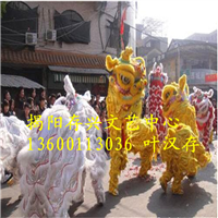 广东舞龙队/广东专业虎狮队/广东锣鼓队 