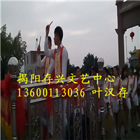 广东专业舞龙舞狮\广东梅花桩舞狮 