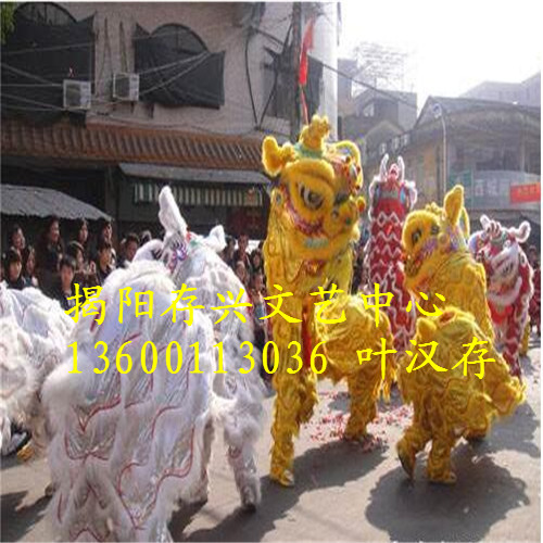 广东舞龙队/广东专业虎狮队/广东锣鼓队 
