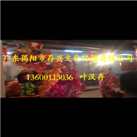 揭阳舞龙队,揭阳布马队,揭阳大锣鼓 