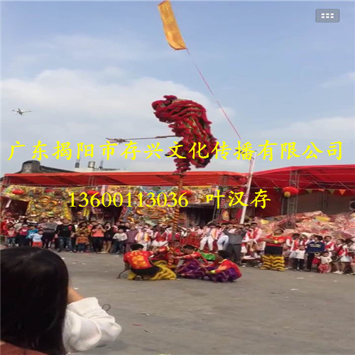 惠来舞龙队,惠来布马队，揭东区秧歌舞 