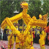 普宁龙狮队，广东龙狮队 