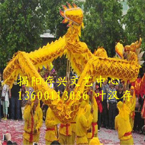 普宁龙狮队，广东龙狮队 