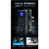 南安指纹锁1
