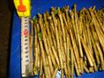 茉莉花插枝长度：13公分左右