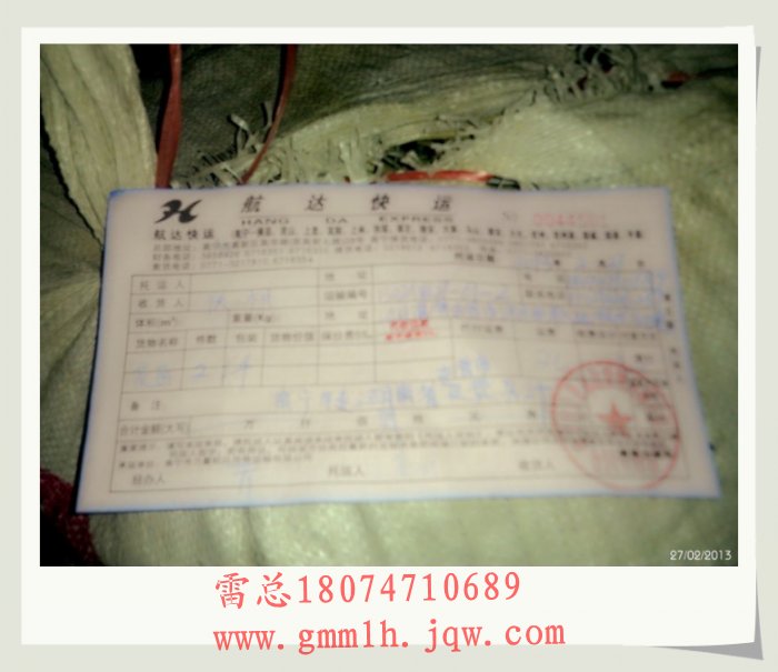 广西优质茉莉花苗 