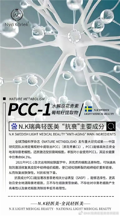 NK瑞典轻医美皮肤管理加盟