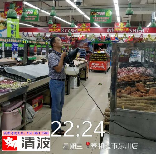 昆明灭鼠“超市灭鼠现场”昆明灭鼠公司 
