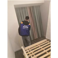 恒大名都甲醛治理 