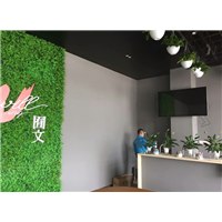 西昌除甲醛