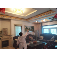 西昌专业除甲醛公司