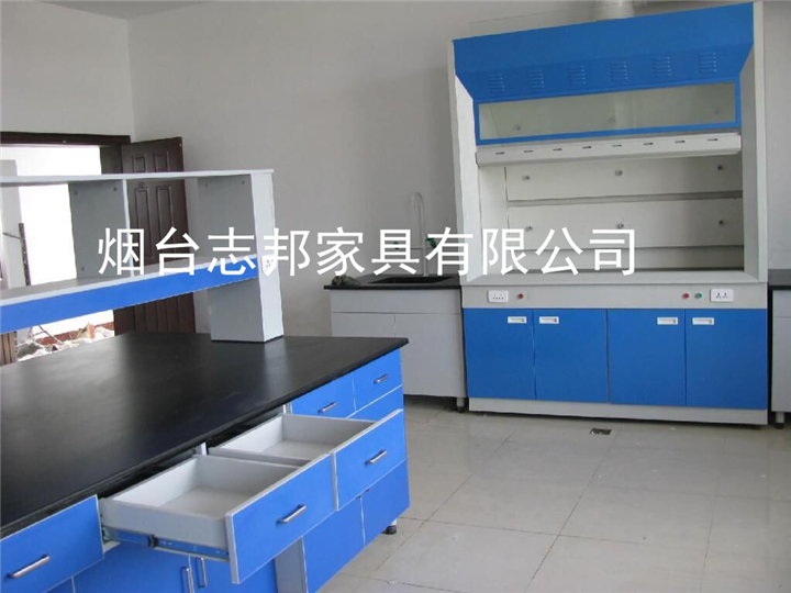 烟台通风柜厂家 