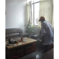 宣化**专业的甲醛治理公司%宣化甲醛检测 