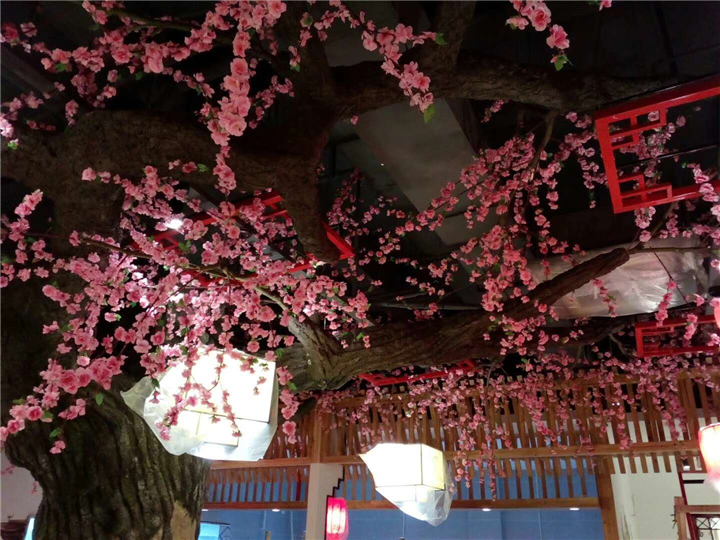 浙江（09）假树