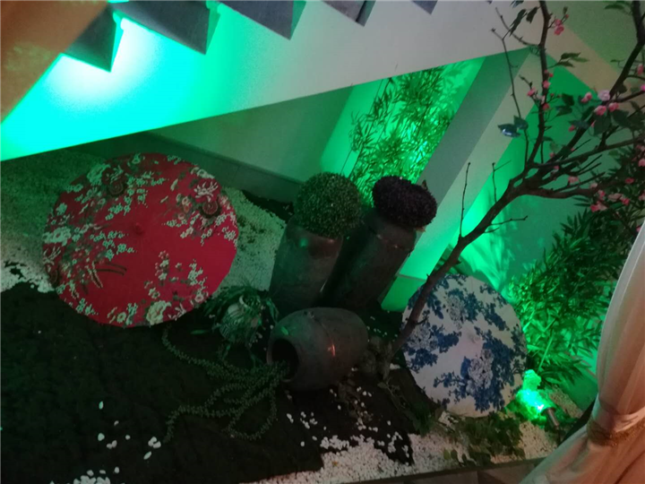 (3)