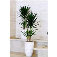 海口荷兰铁租赁【荷兰铁】